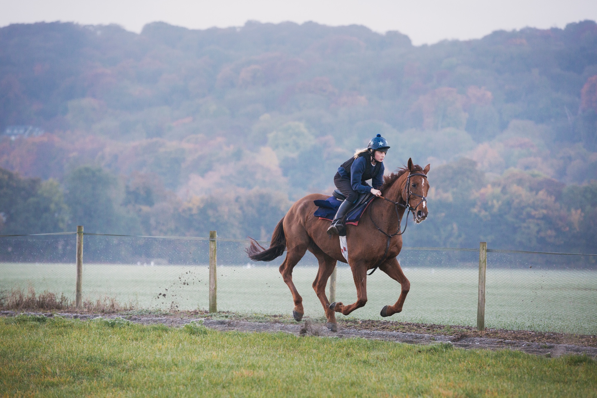 Woman galloping on a thoroughbred race horse along a path through a field.